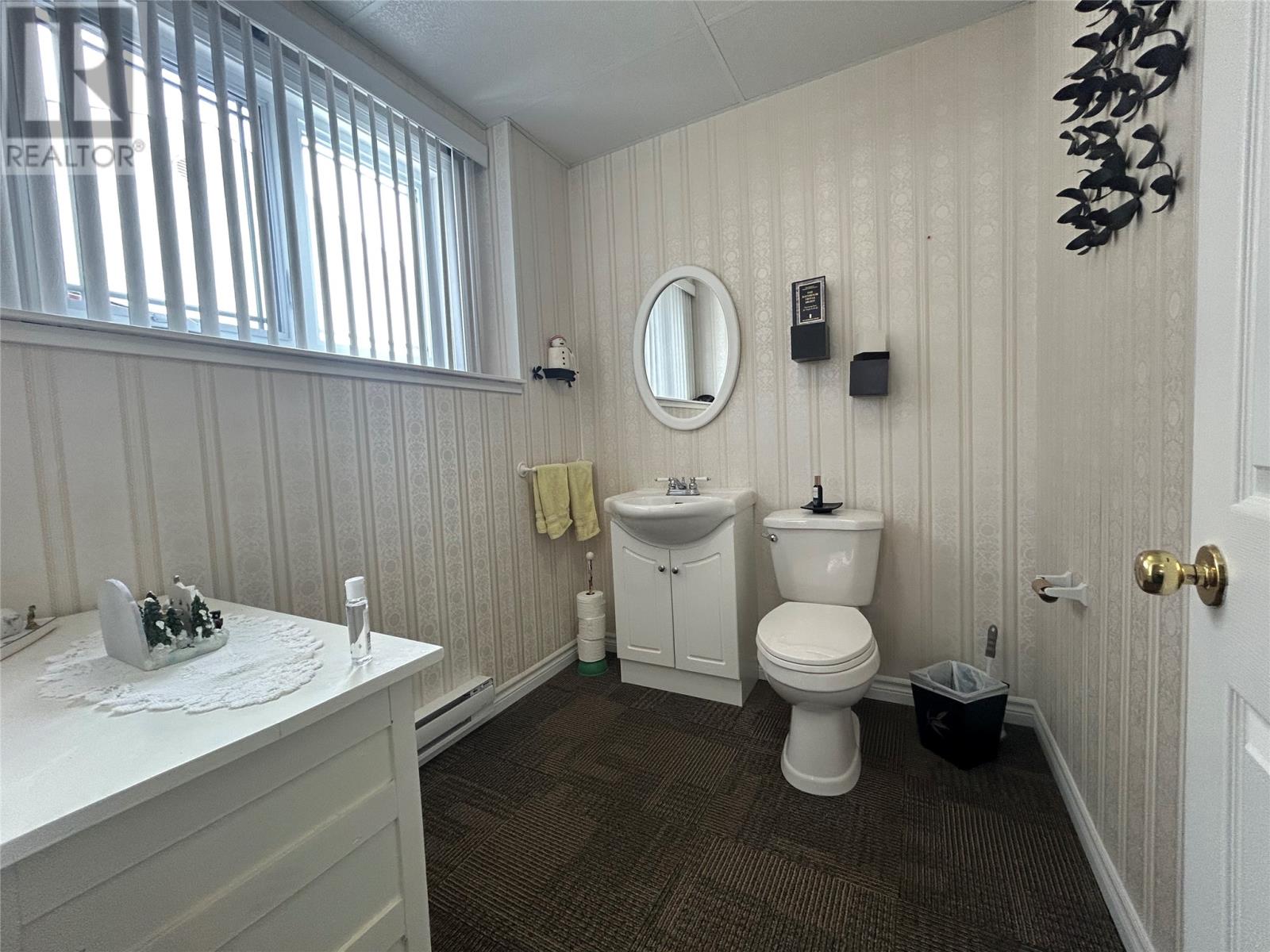 138 Goodyear Avenue, Grand Falls-Windsor, Newfoundland & Labrador  A2A 1K1 - Photo 47 - 1295831