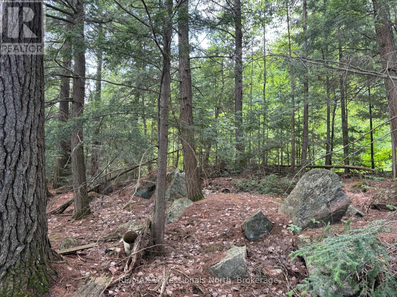 0 Halls Lake Road, Algonquin Highlands, Ontario  K0M 1S0 - Photo 10 - X12959394