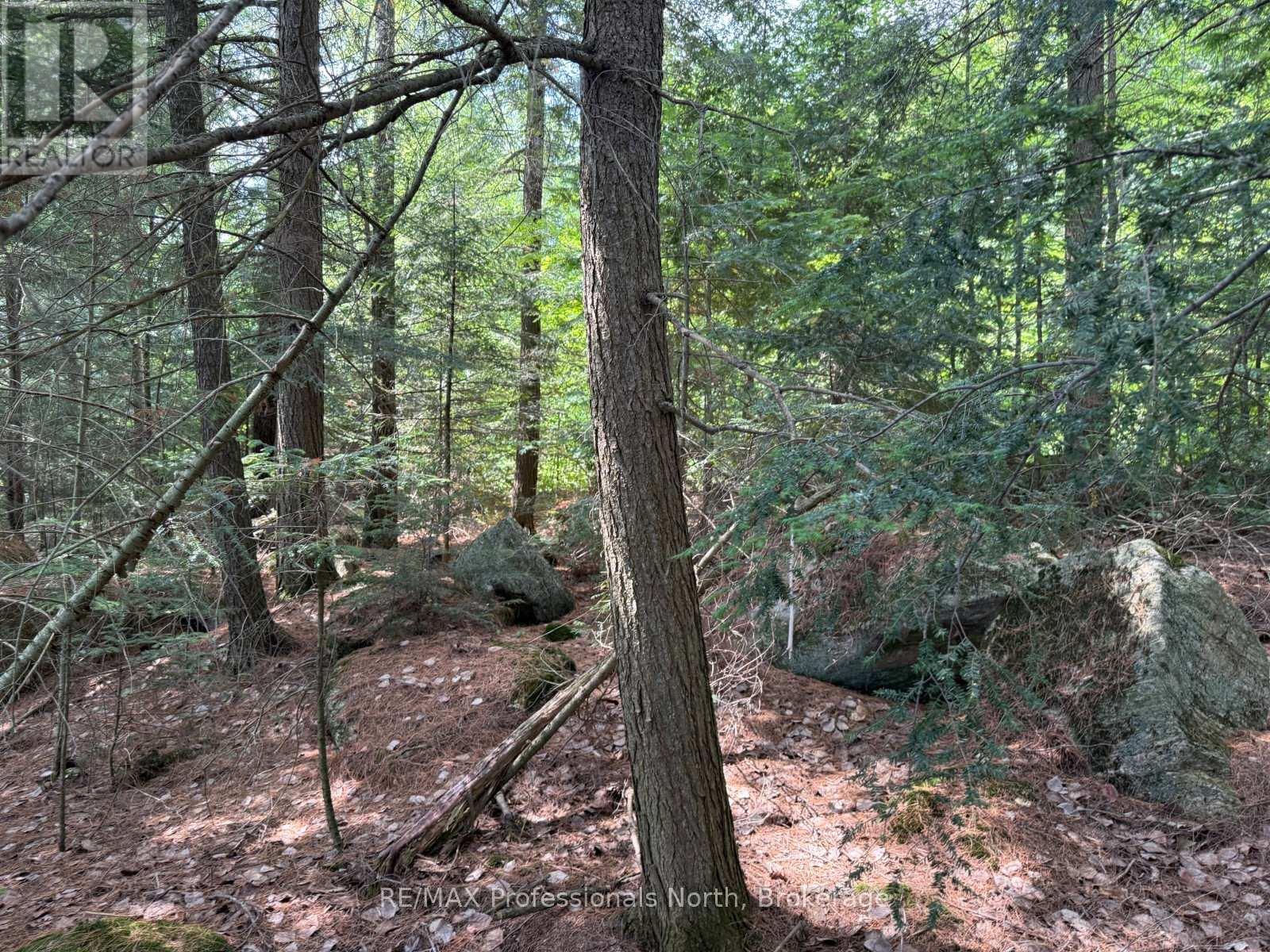 0 Halls Lake Road, Algonquin Highlands, Ontario  K0M 1S0 - Photo 12 - X12959394