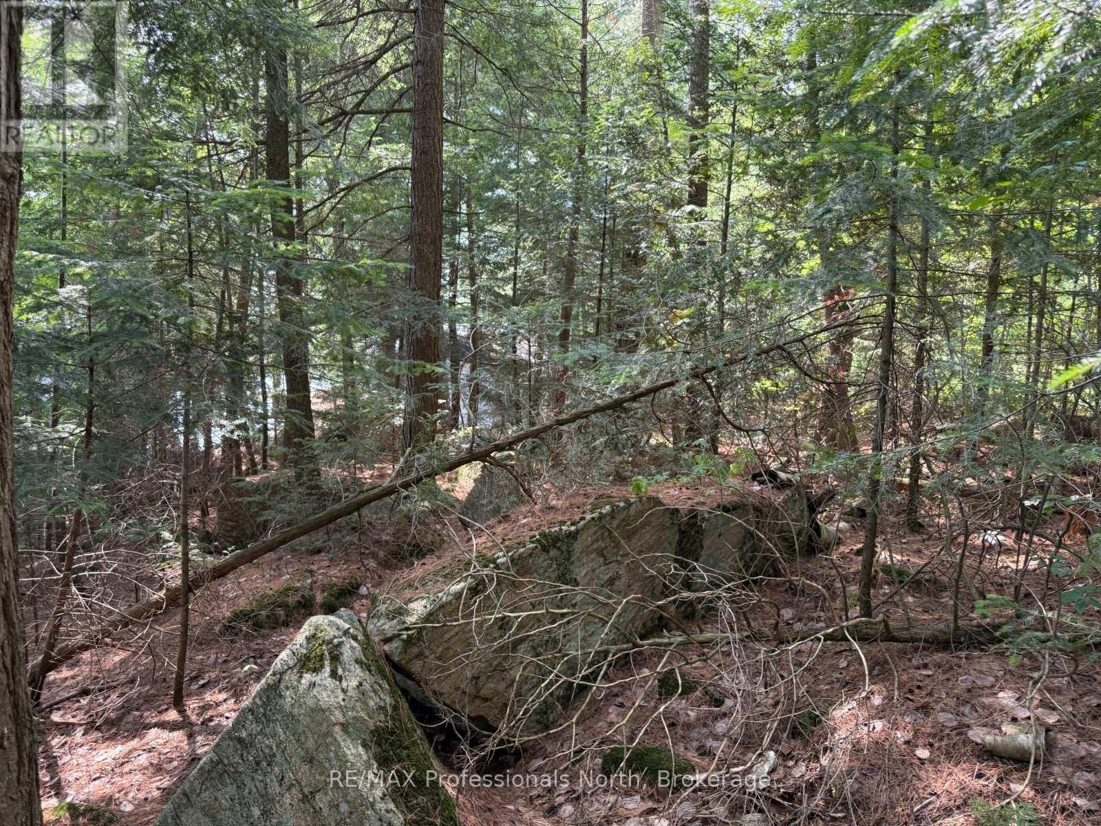 0 Halls Lake Road, Algonquin Highlands, Ontario  K0M 1S0 - Photo 13 - X12959394