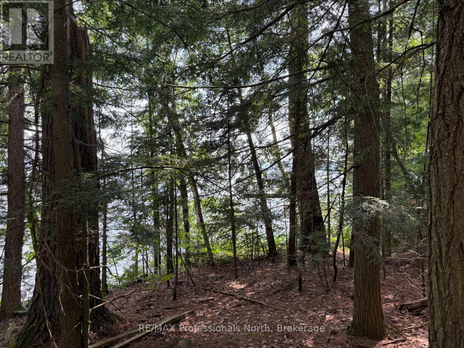 0 Halls Lake Road, Algonquin Highlands, Ontario  K0M 1S0 - Photo 14 - X12959394