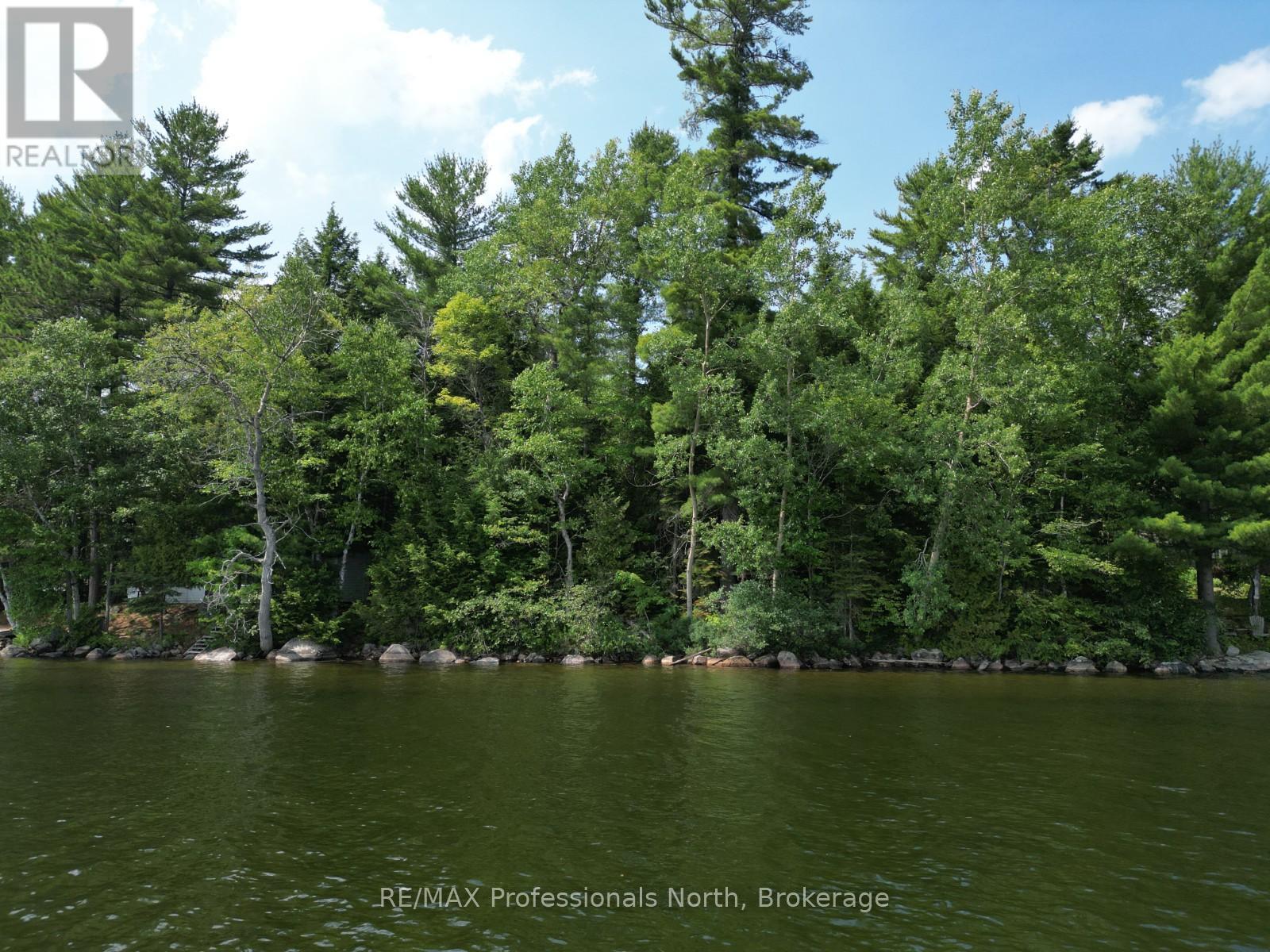 0 Halls Lake Road, Algonquin Highlands, Ontario  K0M 1S0 - Photo 4 - X12959394