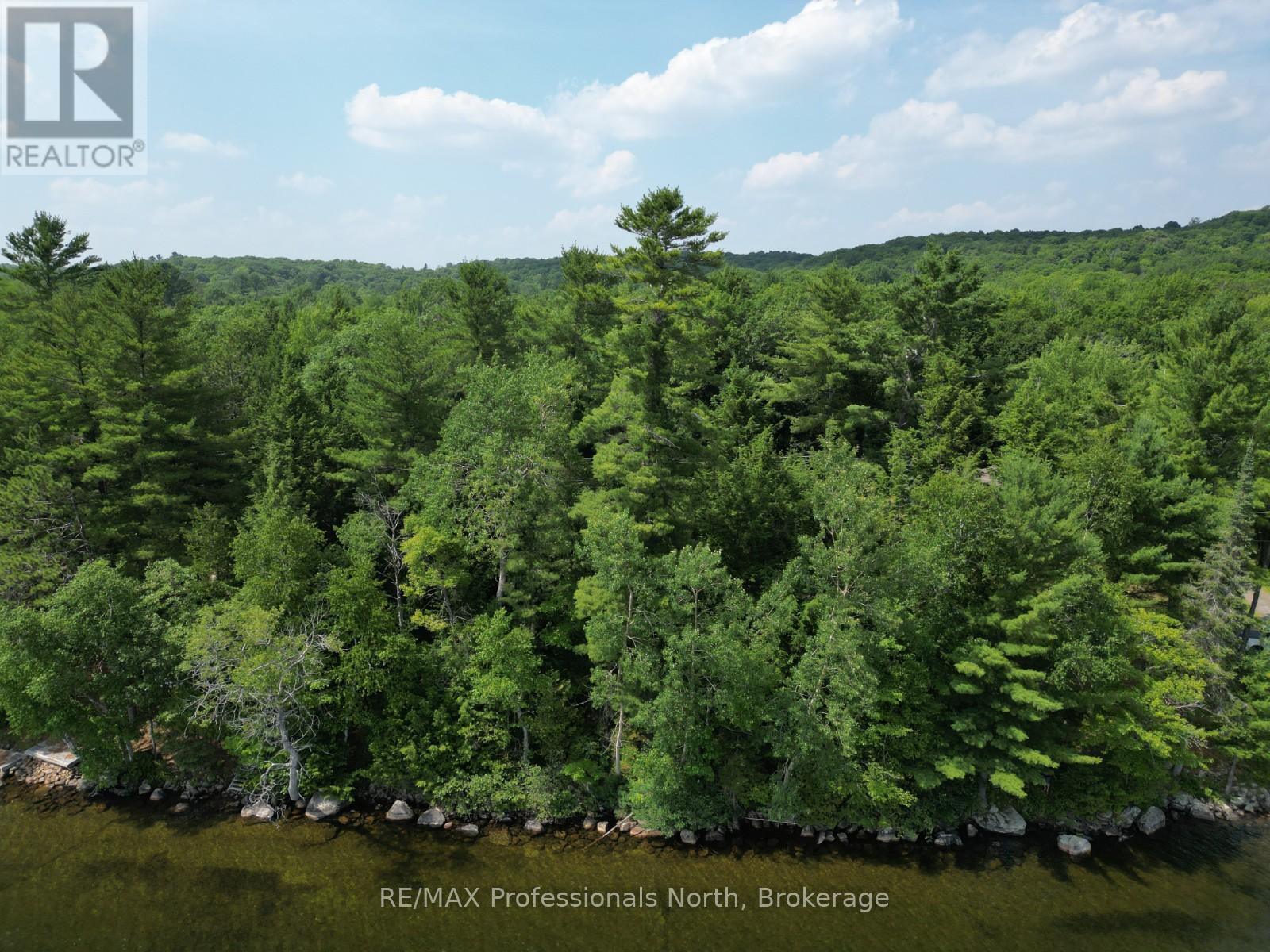 0 Halls Lake Road, Algonquin Highlands, Ontario  K0M 1S0 - Photo 5 - X12959394