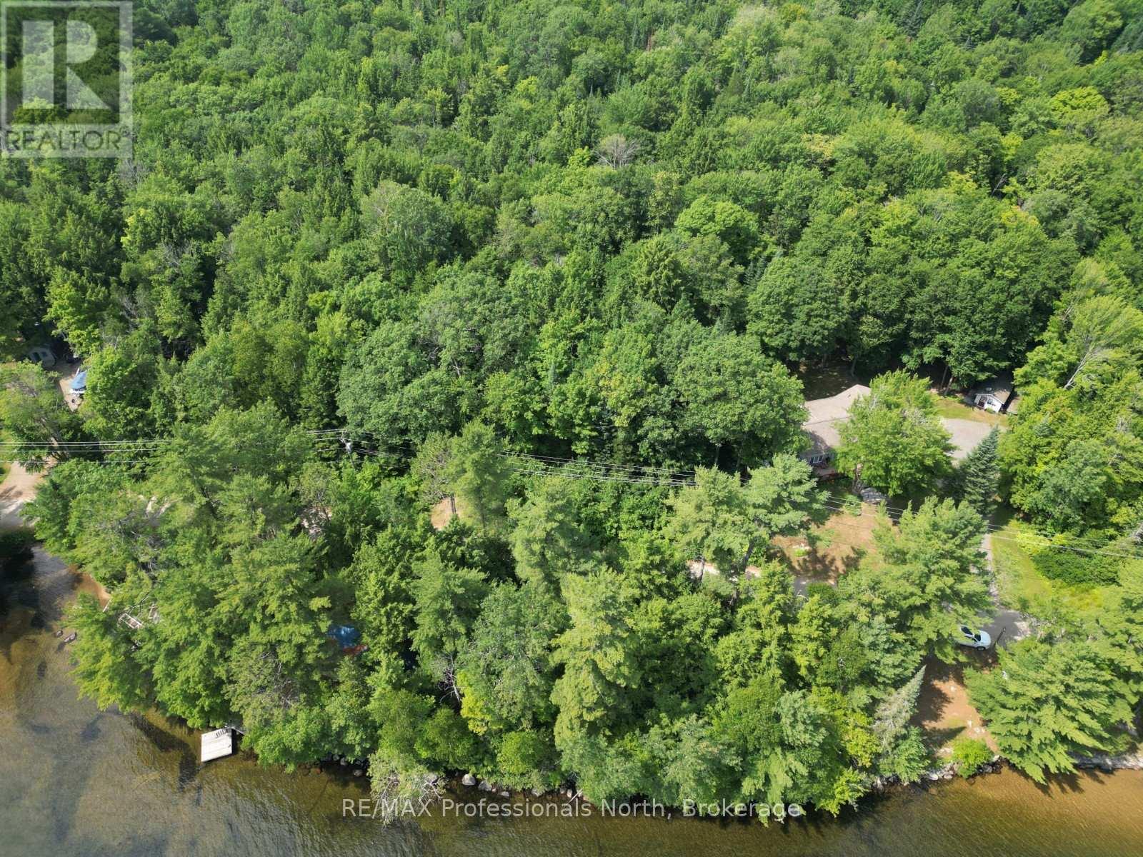 0 Halls Lake Road, Algonquin Highlands, Ontario  K0M 1S0 - Photo 6 - X12959394