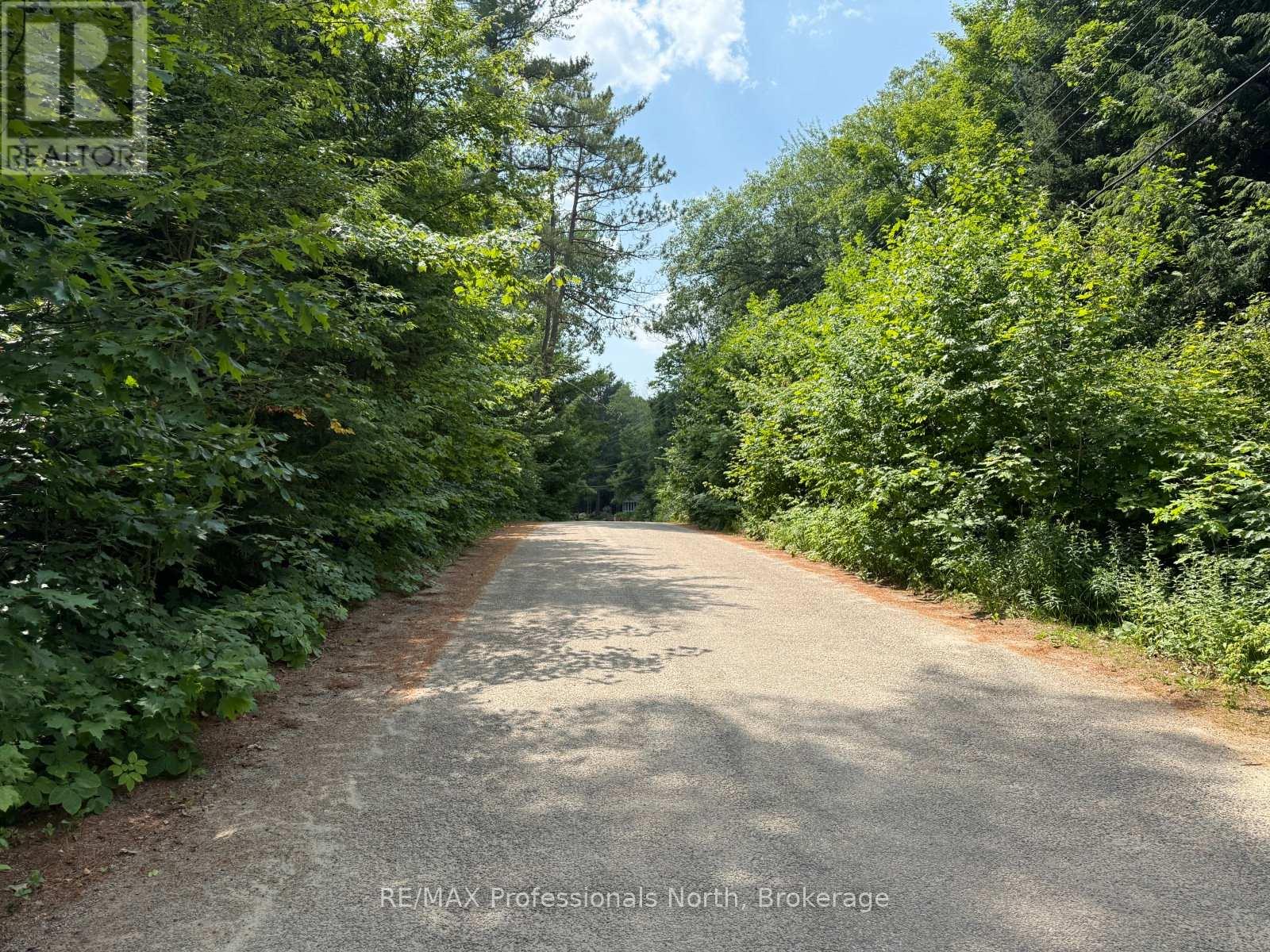 0 Halls Lake Road, Algonquin Highlands, Ontario  K0M 1S0 - Photo 7 - X12959394