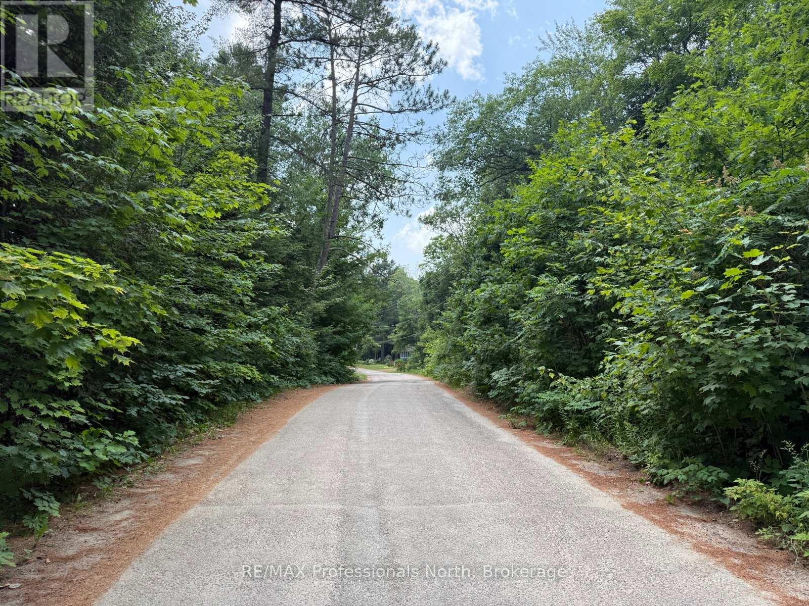 0 Halls Lake Road, Algonquin Highlands, Ontario  K0M 1S0 - Photo 8 - X12959394