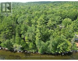 0 HALLS LAKE ROAD, algonquin highlands (stanhope), Ontario