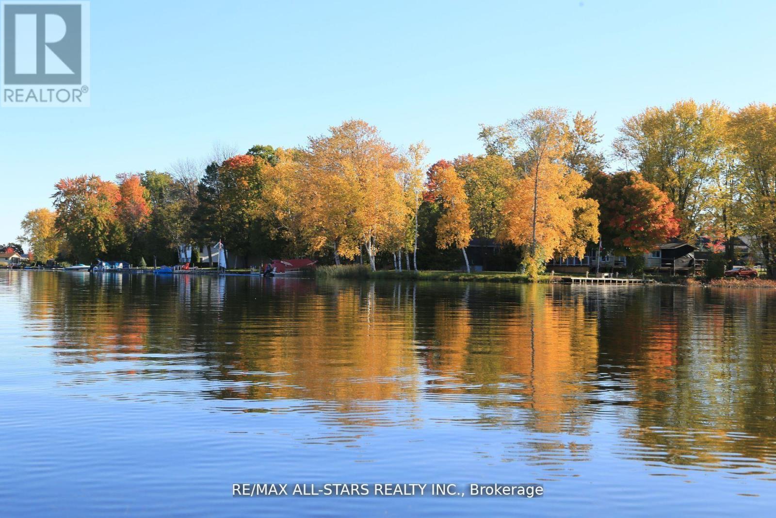 122 Fenelon Drive, Kawartha Lakes, Ontario  K0M 1G0 - Photo 5 - X12959356