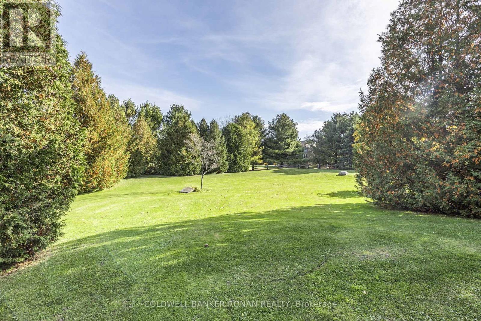 20 Mountainview Road, Mulmur, Ontario  L9V 3H5 - Photo 47 - X12276547