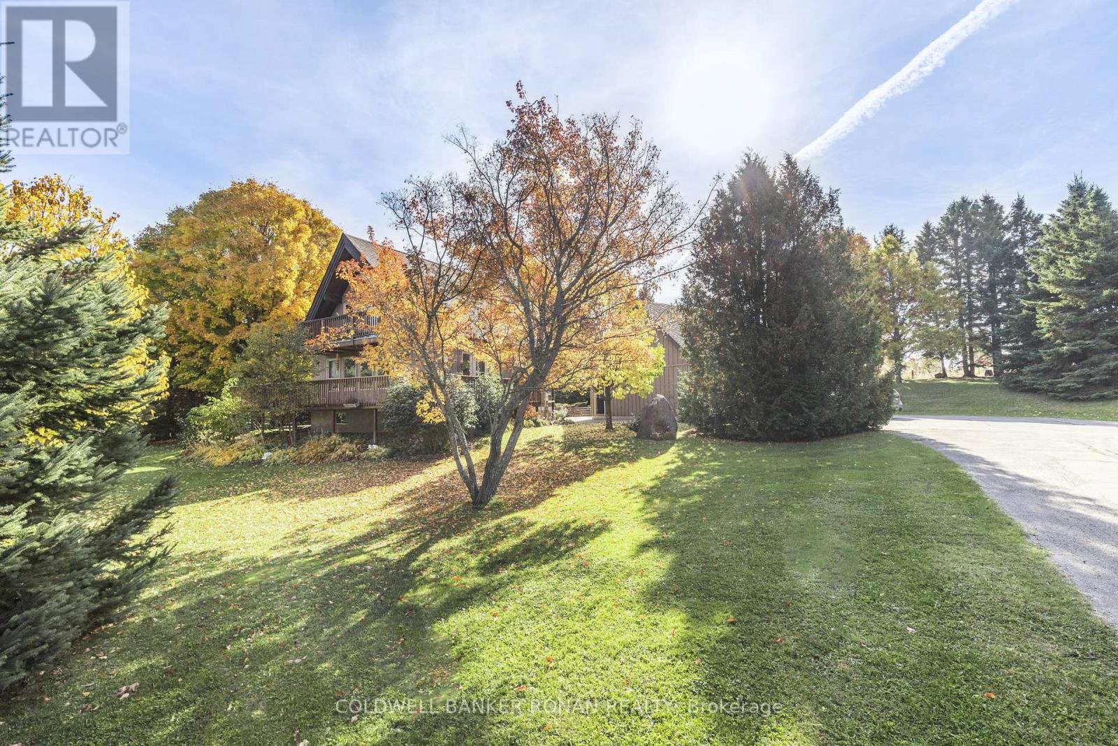 20 Mountainview Road, Mulmur, Ontario  L9V 3H5 - Photo 3 - X12276547