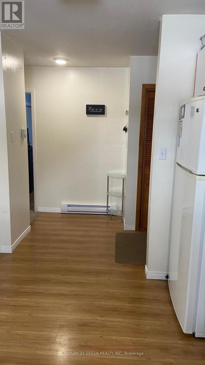 9 Fitz Avenue, South River, Ontario  P0A 1X0 - Photo 20 - X12883662