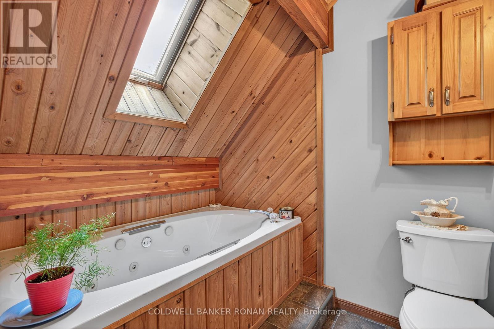 20 Mountainview Road, Mulmur, Ontario  L9V 3H5 - Photo 36 - X12276547