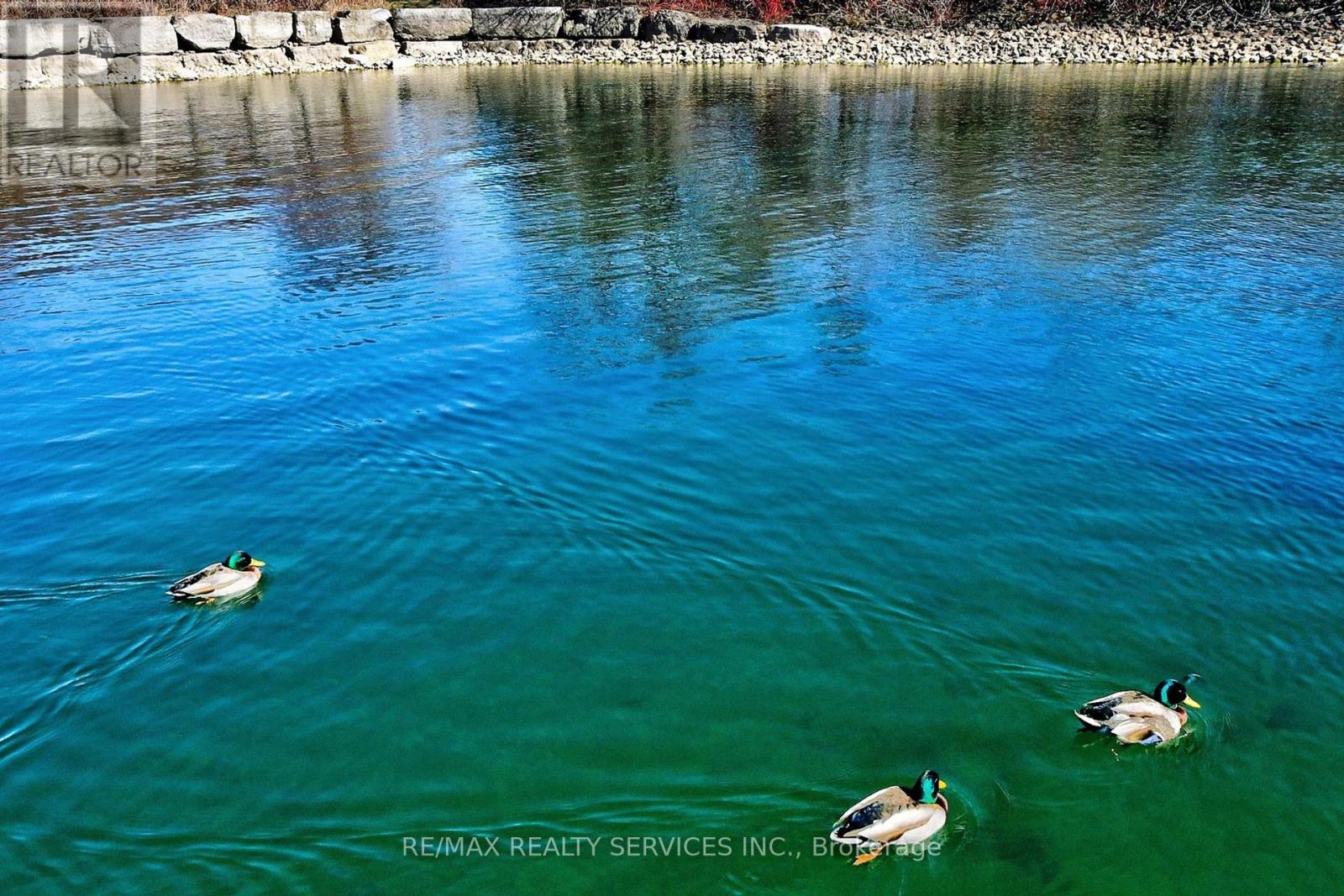 2006 - 20 Shore Breeze Drive, Toronto, Ontario  M8V 0C7 - Photo 41 - W12959456