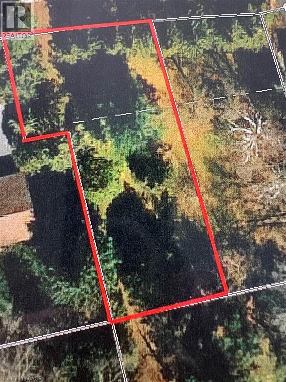 152 Mccall Crescent, Simcoe, Ontario  N3Y 2E1 - Photo 5 - 40798516