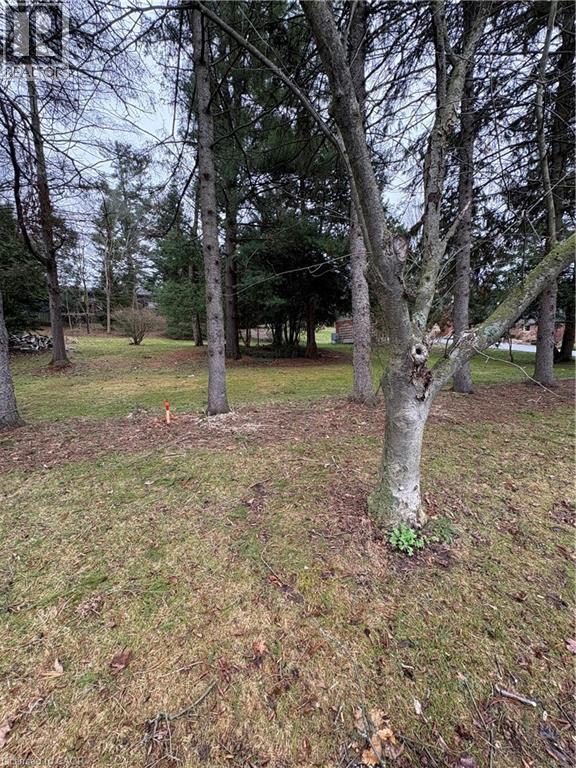 152 Mccall Crescent, Simcoe, Ontario  N3Y 2E1 - Photo 4 - 40798516