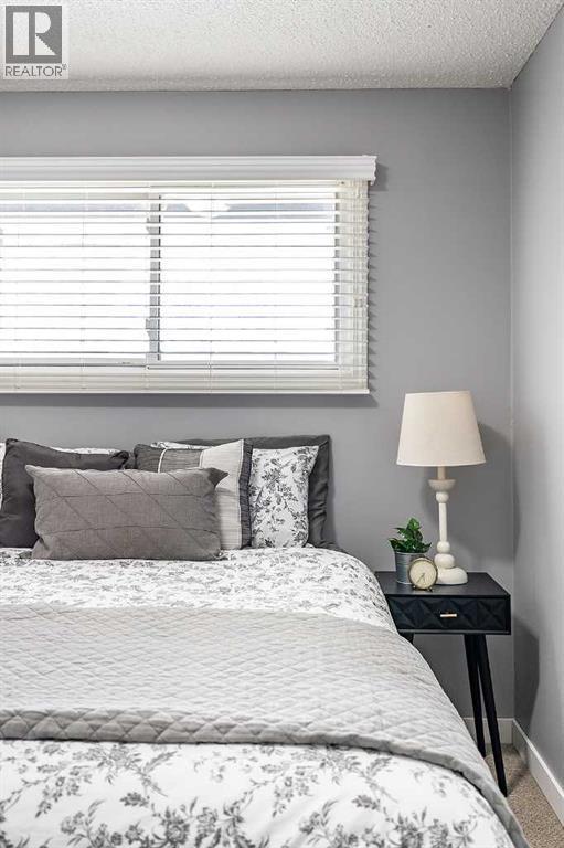 2167 10 Avenue Ne, Medicine Hat, Alberta  T1C 1L6 - Photo 21 - A2295269