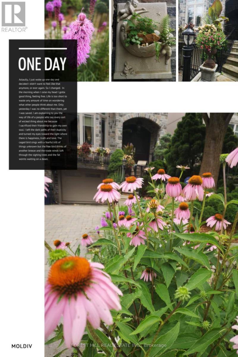 59 Burndale Avenue, Toronto, Ontario  M2N 1S6 - Photo 32 - C12908382