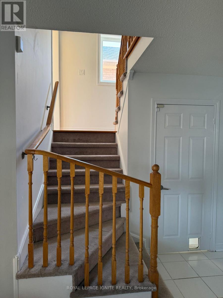 3 Todmorden Drive, Brampton, Ontario  L7A 1M5 - Photo 20 - W12952868