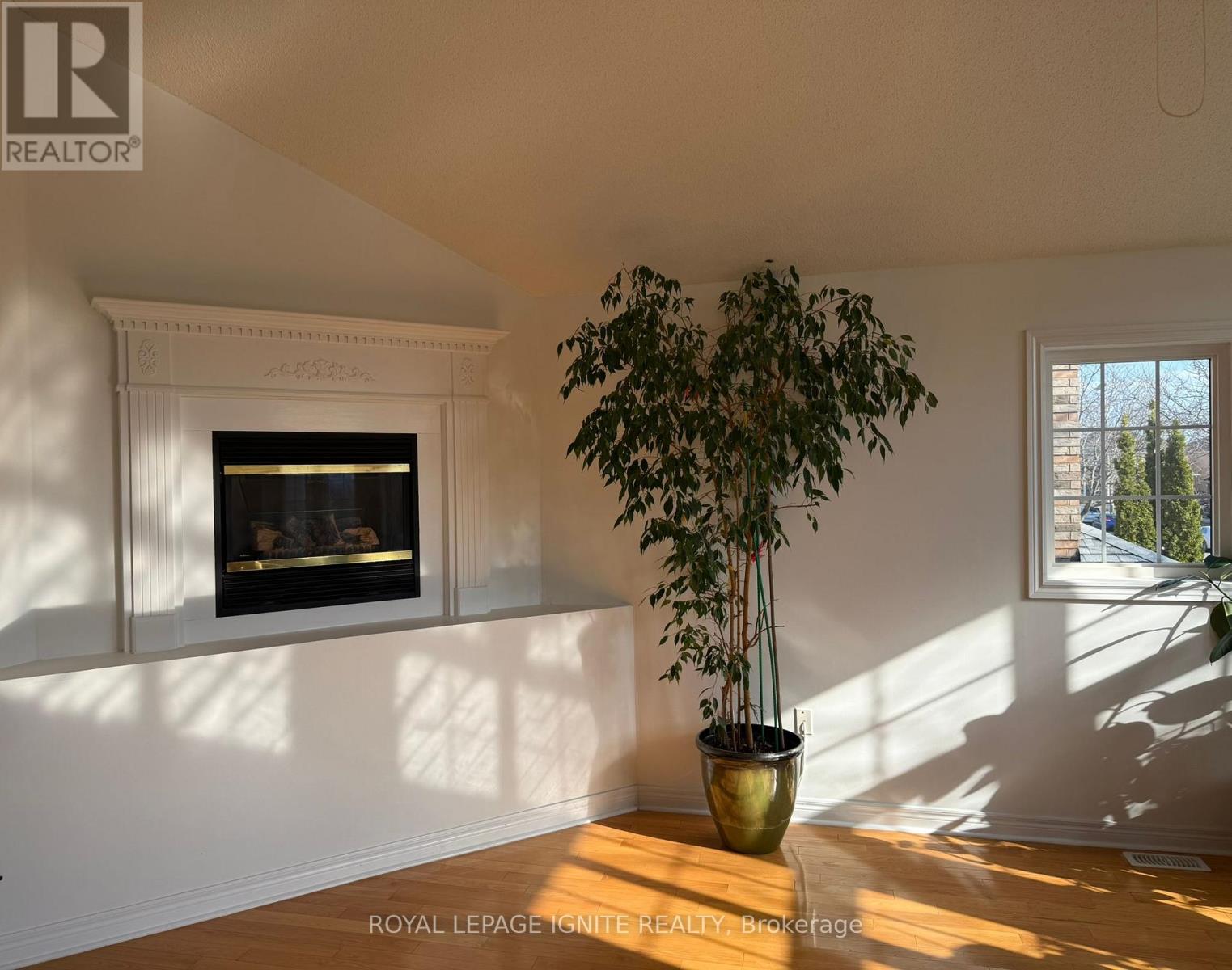 3 Todmorden Drive, Brampton, Ontario  L7A 1M5 - Photo 19 - W12952868