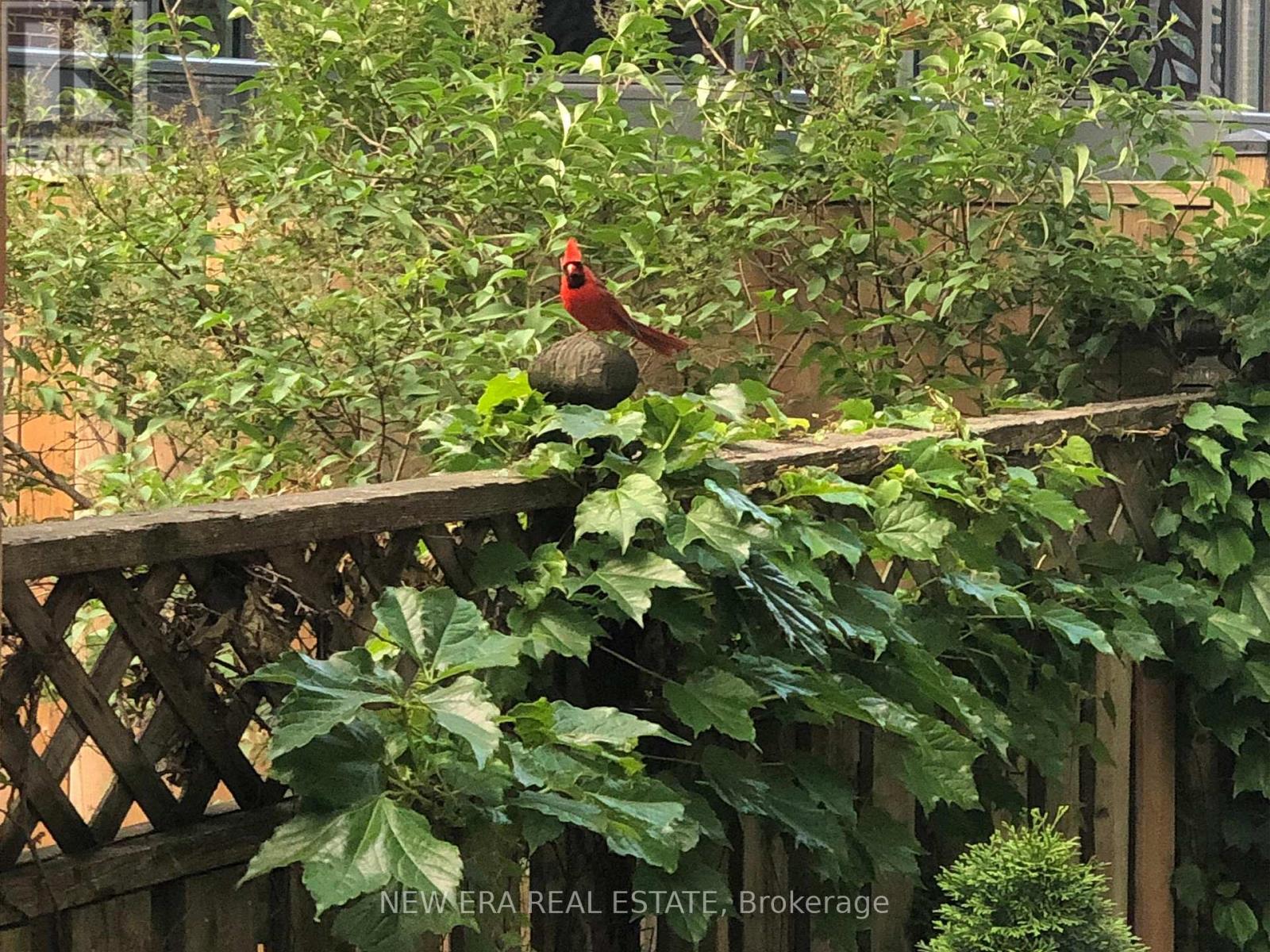 75 Laing Street, Toronto, Ontario  M4L 2N4 - Photo 33 - E12959728