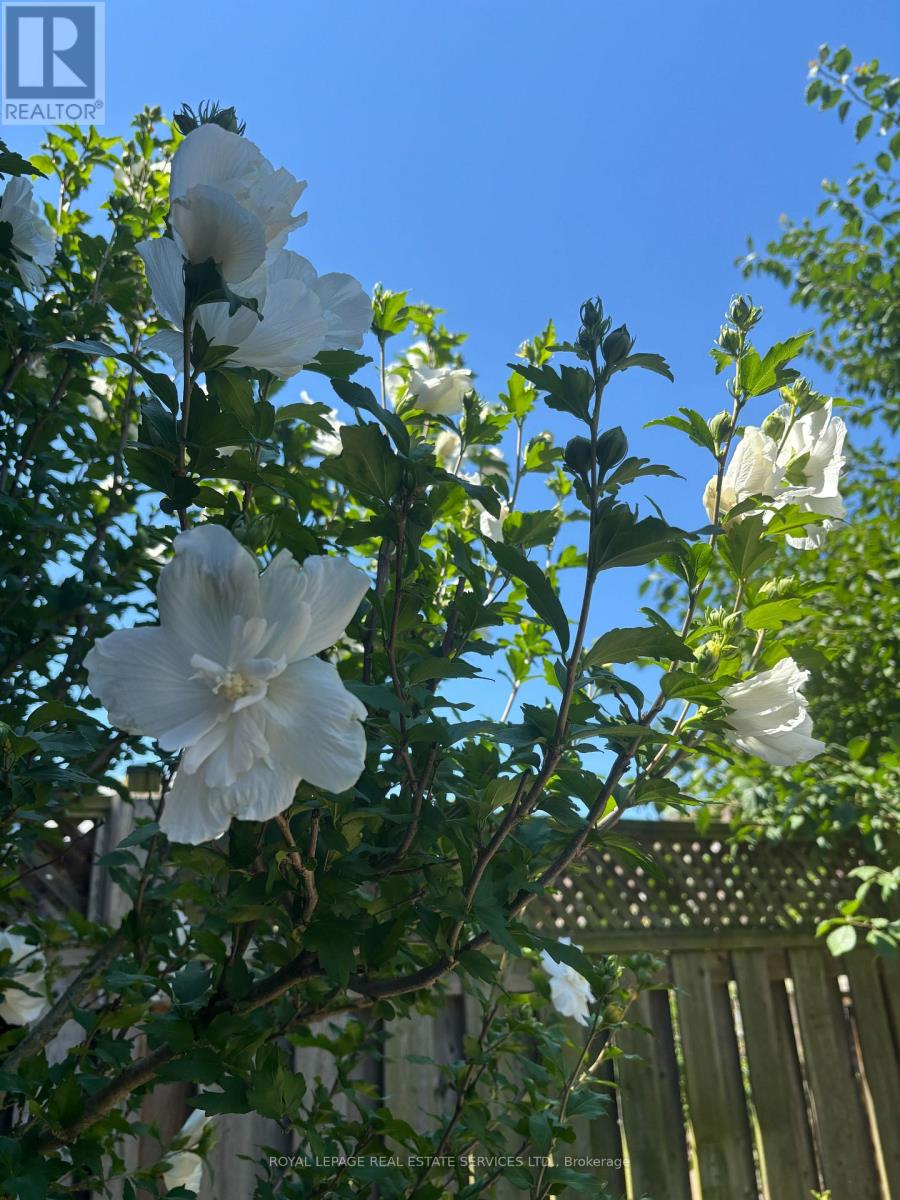 4069 Kilmer Drive, Burlington, Ontario  L7M 5A6 - Photo 41 - W12959704