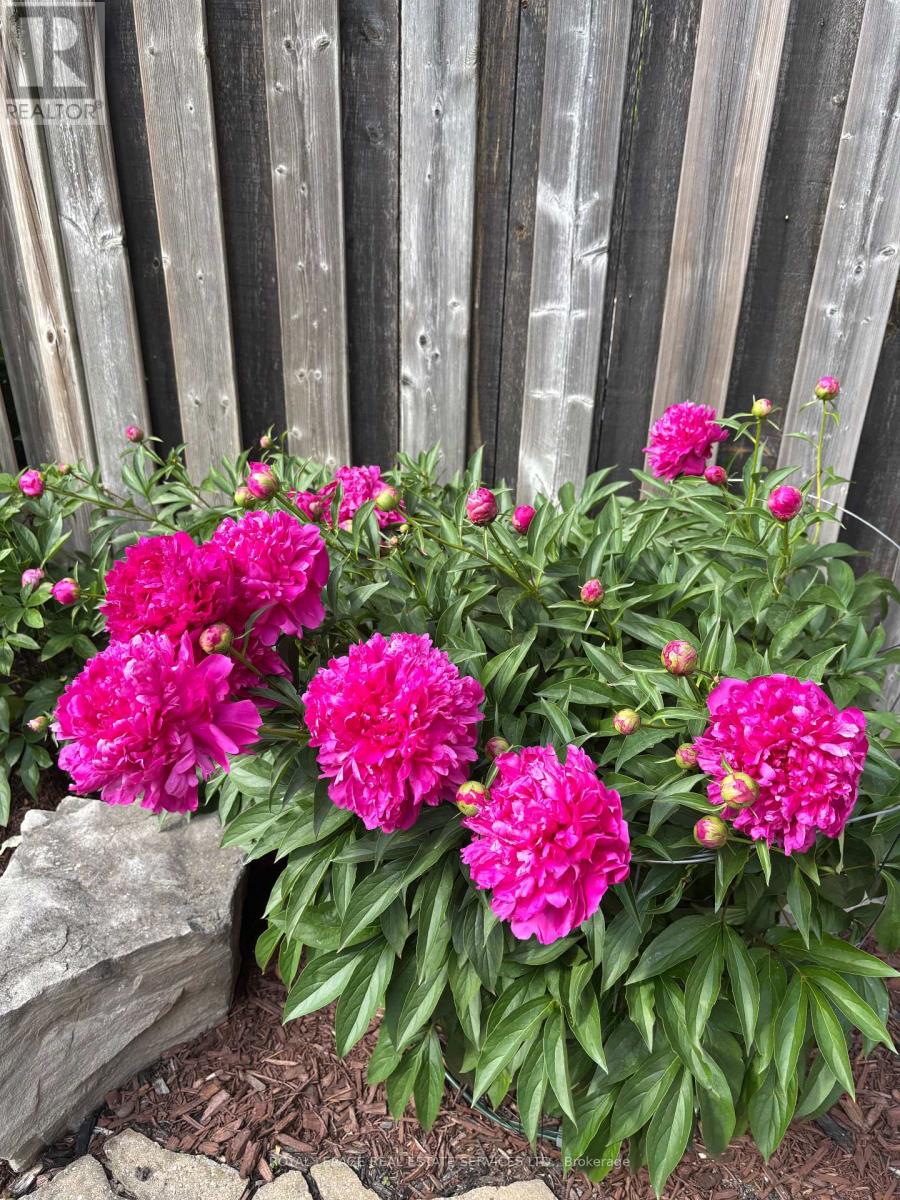 4069 Kilmer Drive, Burlington, Ontario  L7M 5A6 - Photo 42 - W12959704