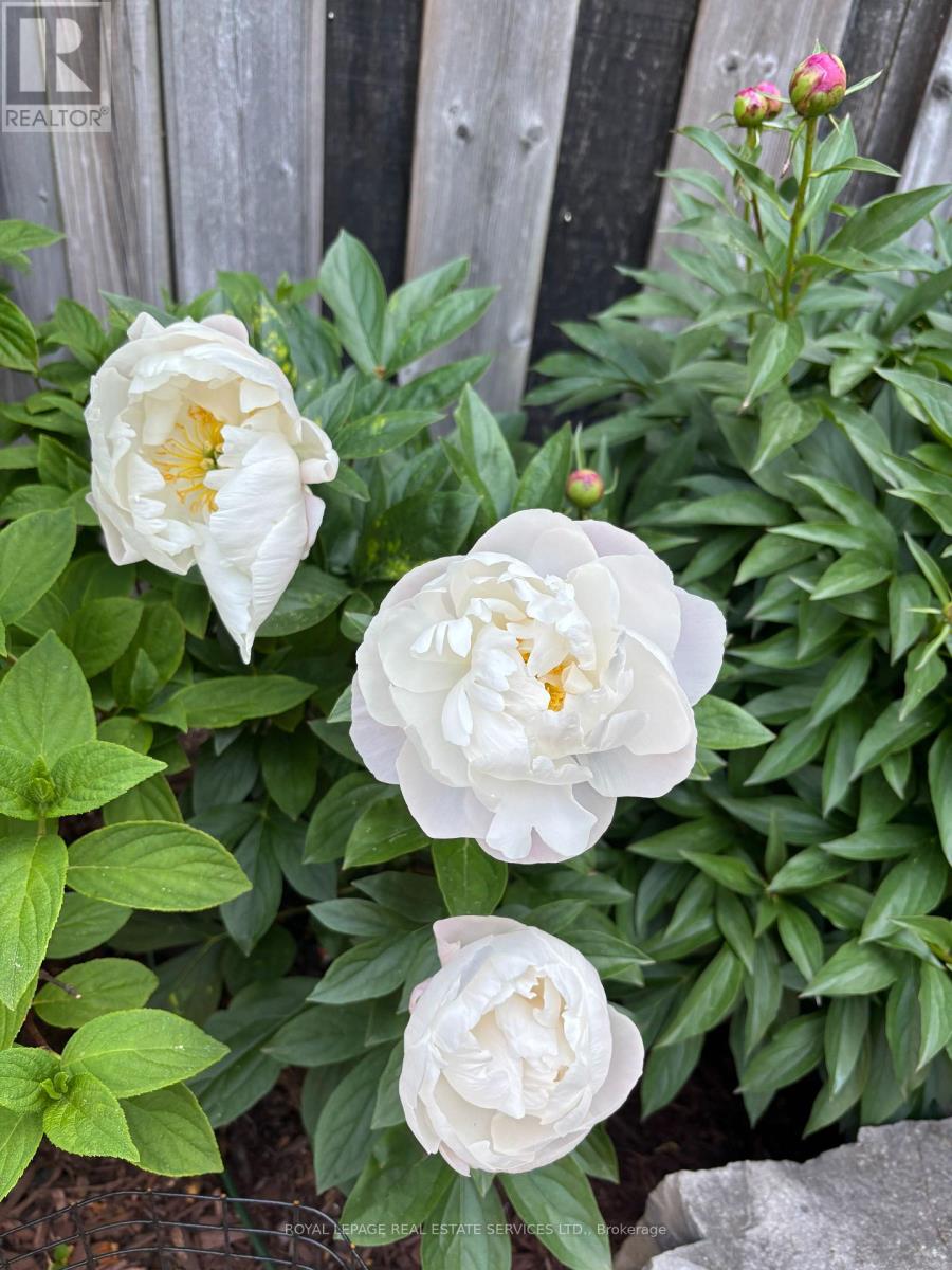 4069 Kilmer Drive, Burlington, Ontario  L7M 5A6 - Photo 43 - W12959704