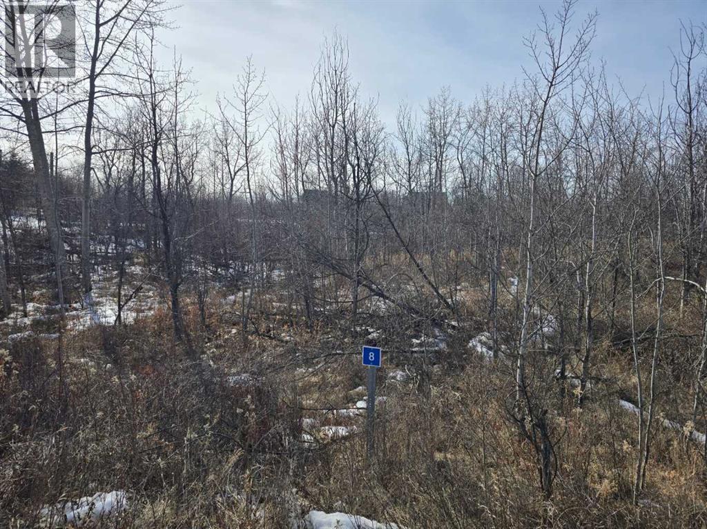 8 Buffalo Drive, Rural Stettler No. 6, Alberta  T0C 3B0 - Photo 2 - A2298569