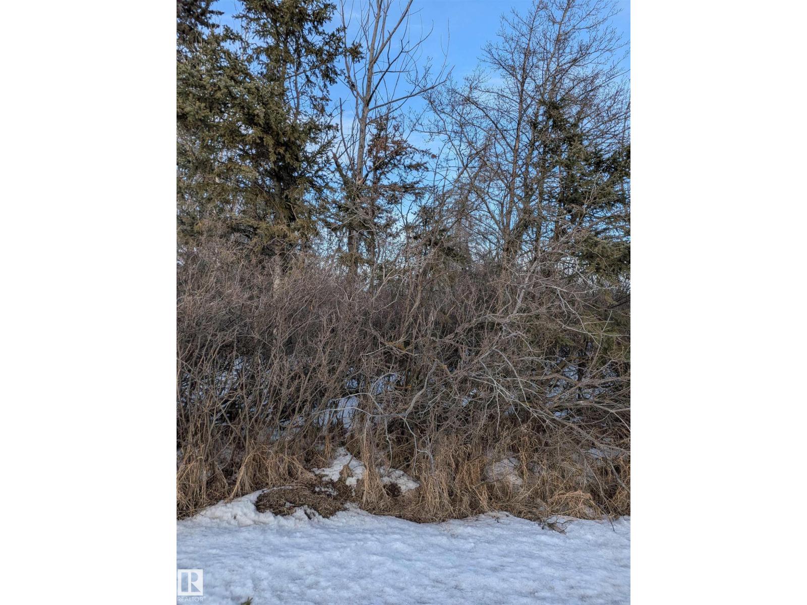 Centre Street & Railway Av, Rural Lamont County, Alberta  T0B 0C0 - Photo 4 - E4480762