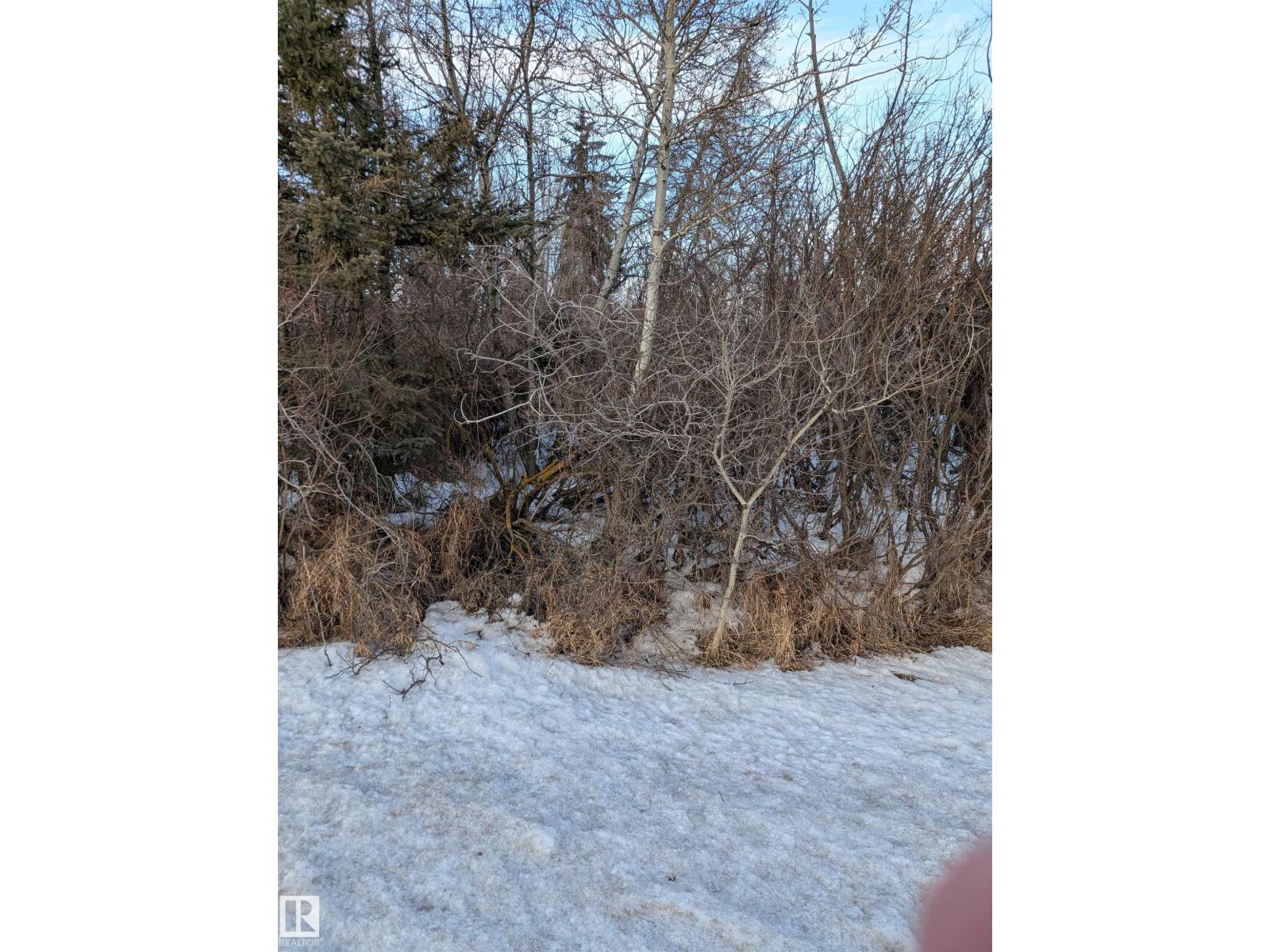 Centre Street & Railway Av, Rural Lamont County, Alberta  T0B 0C0 - Photo 5 - E4480762