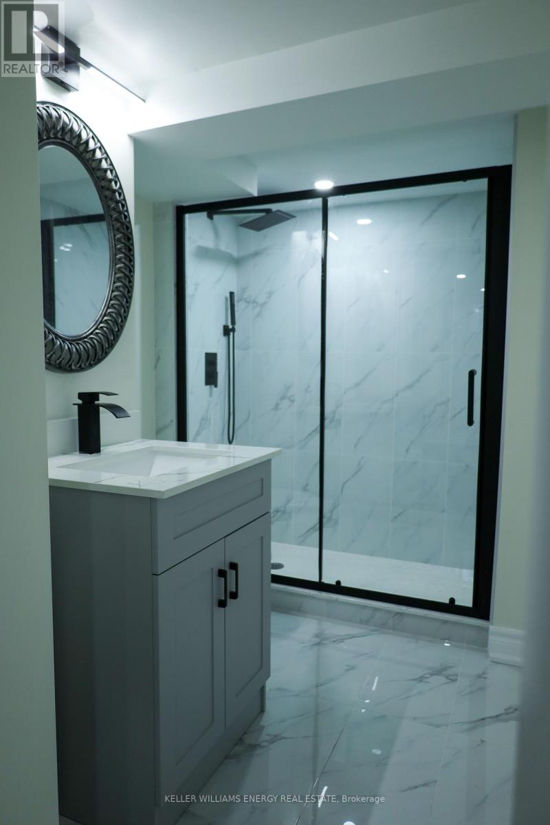 Basement - 704 Oshawa Boulevard N, Oshawa, Ontario  L1G 5V3 - Photo 13 - E12960074