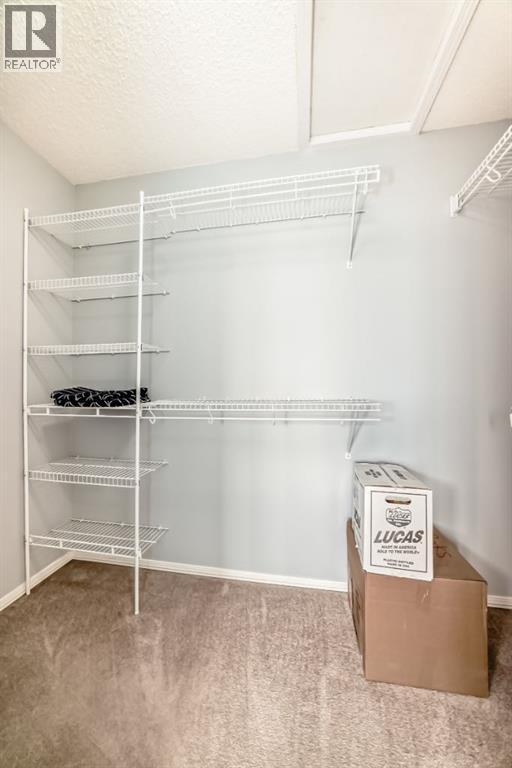 835 Westmount Drive, Strathmore, Alberta  T1P 1P8 - Photo 32 - A2298546