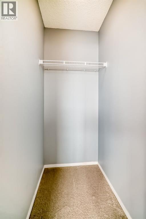 835 Westmount Drive, Strathmore, Alberta  T1P 1P8 - Photo 37 - A2298546