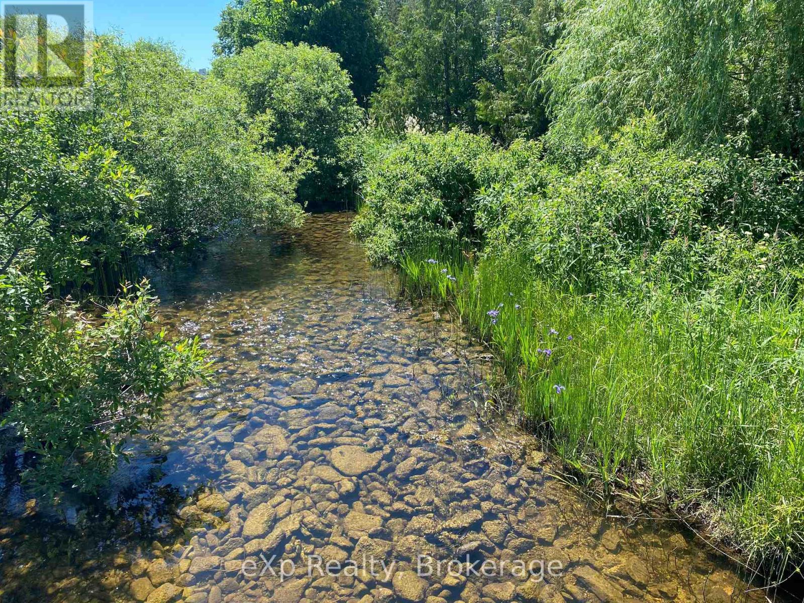 136709 Grey Road 12, Grey Highlands, Ontario  N4L 1W6 - Photo 44 - X12960078