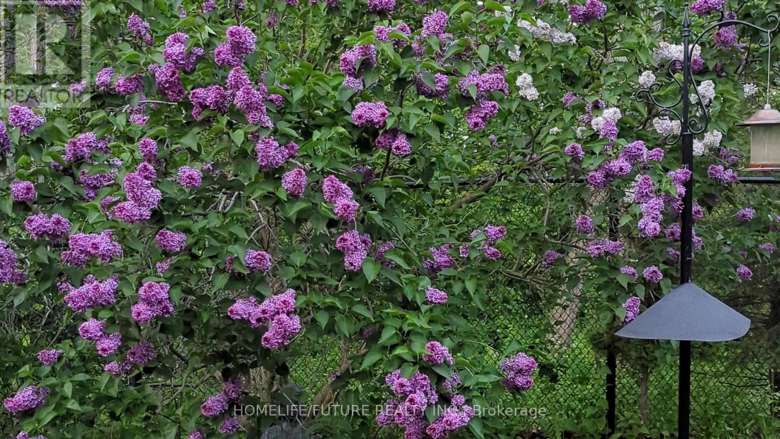 105 Moreau Trail, Toronto, Ontario  M1L 4T9 - Photo 26 - E12960176