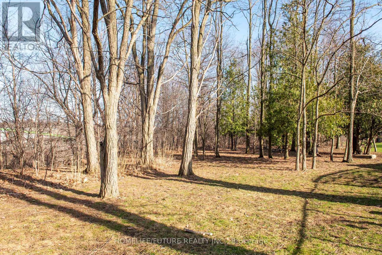 105 Moreau Trail, Toronto, Ontario  M1L 4T9 - Photo 29 - E12960176