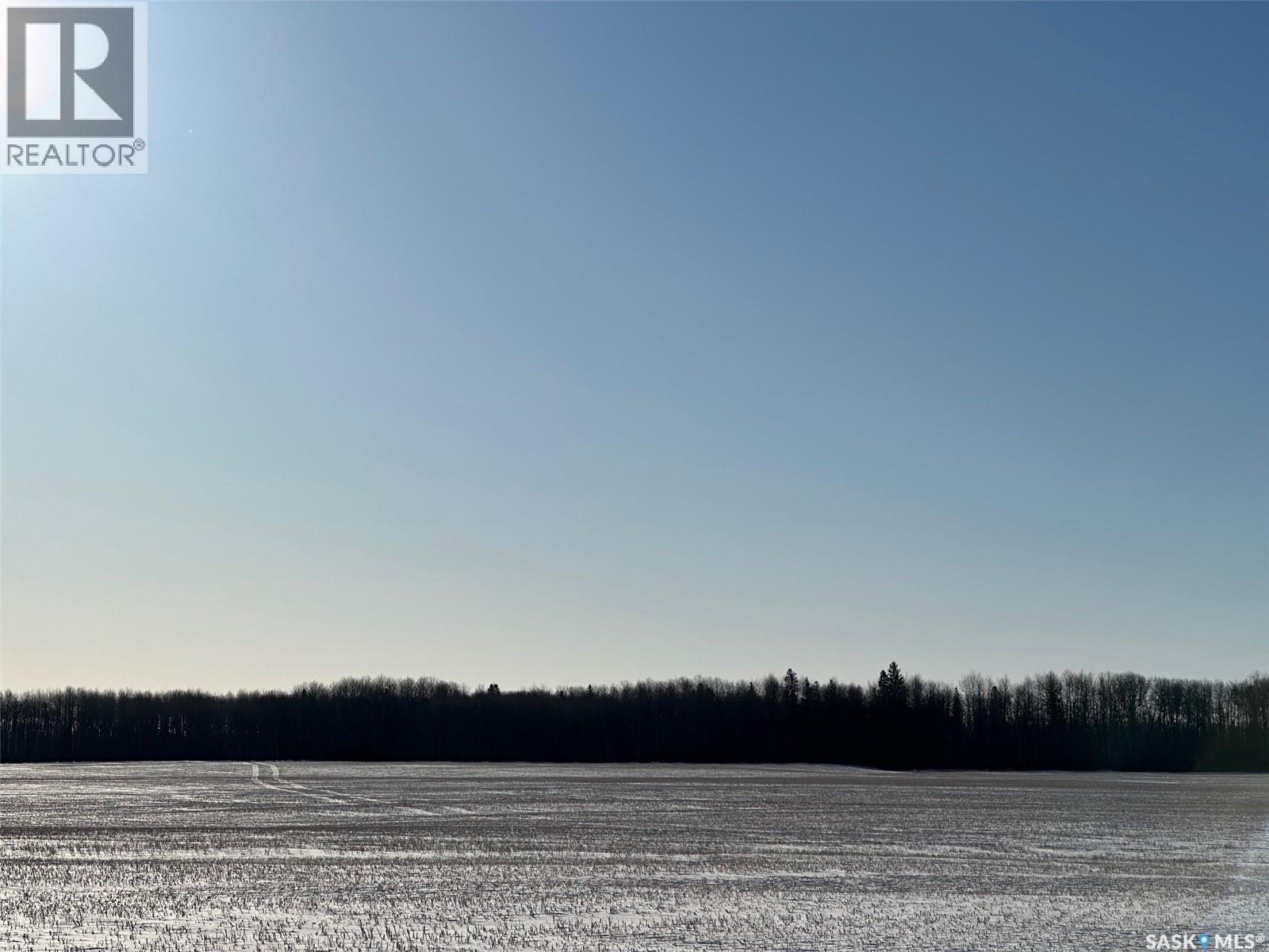 Collinson Land, Hudson Bay, Saskatchewan  S0E 0Y0 - Photo 5 - SK032056