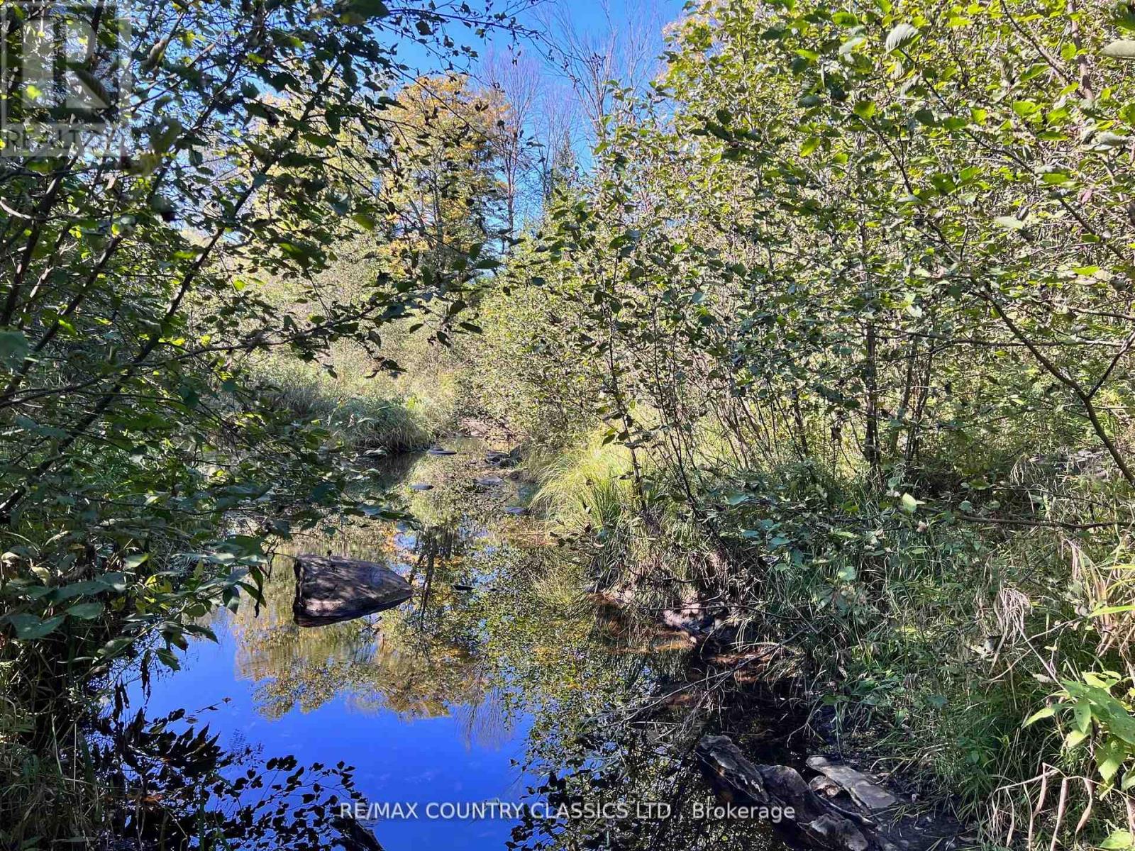 634 Lower Turriff Road, Bancroft, Ontario  K0L 2L0 - Photo 12 - X12960390