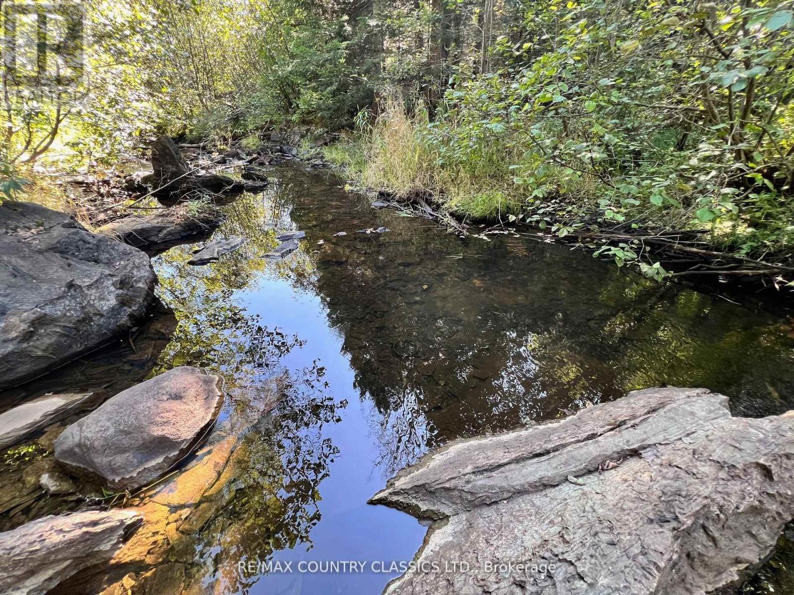 634 Lower Turriff Road, Bancroft, Ontario  K0L 2L0 - Photo 14 - X12960390