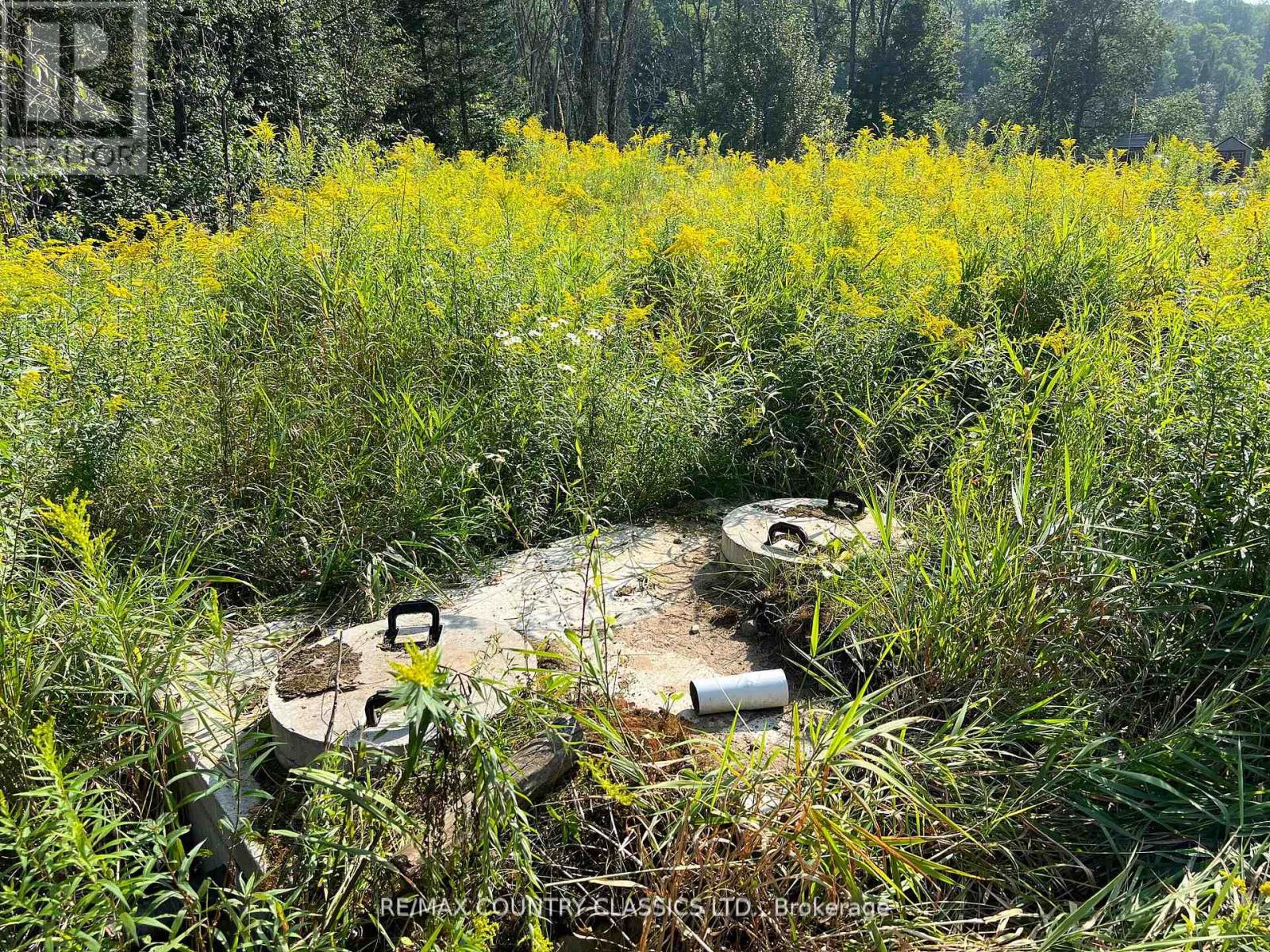 634 Lower Turriff Road, Bancroft, Ontario  K0L 2L0 - Photo 7 - X12960390