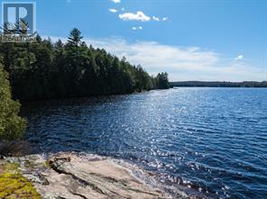 764 East Bear Lake Road, Mcmurrich/monteith, Ontario  P0A 1Y0 - Photo 3 - X12960332