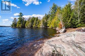 764 East Bear Lake Road, Mcmurrich/monteith, Ontario  P0A 1Y0 - Photo 34 - X12960332