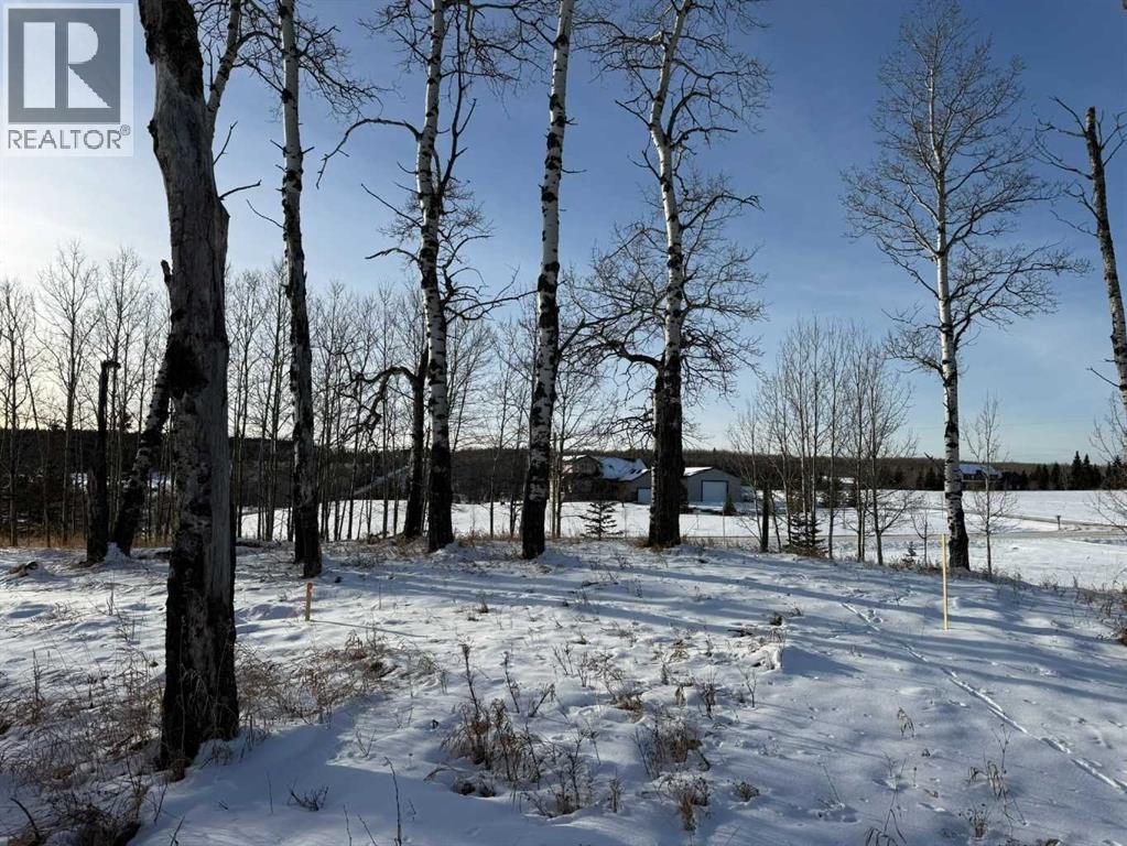 3, 5228 Highway 579, Rural Mountain View County, Alberta