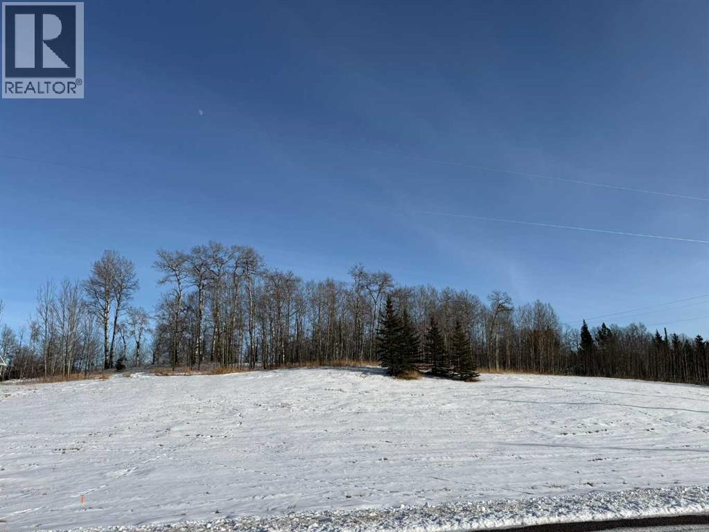 3, 5228 Highway 579, Rural Mountain View County, Alberta  T0M 2E0 - Photo 11 - A2282234