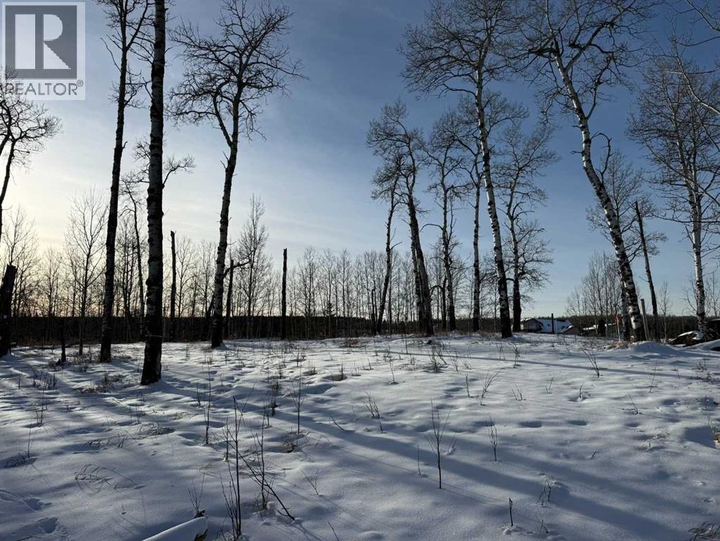 3, 5228 Highway 579, Rural Mountain View County, Alberta  T0M 2E0 - Photo 7 - A2282234