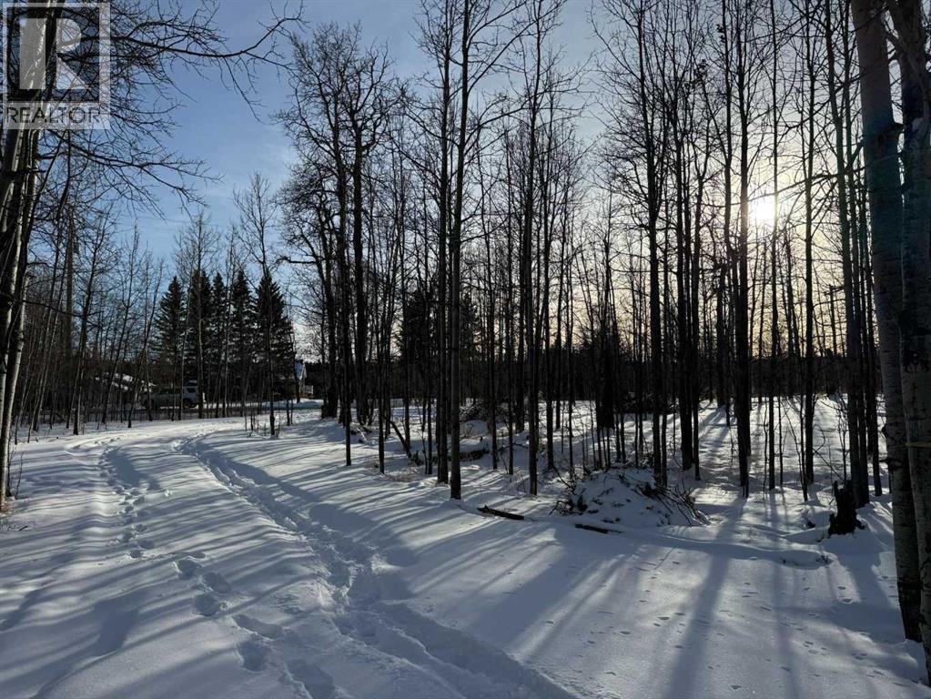 3, 5228 Highway 579, Rural Mountain View County, Alberta  T0M 2E0 - Photo 16 - A2282234