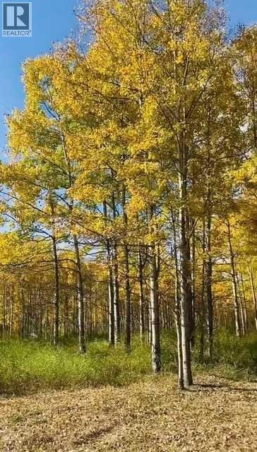 3, 5228 Highway 579, Rural Mountain View County, Alberta  T0M 2E0 - Photo 23 - A2282234