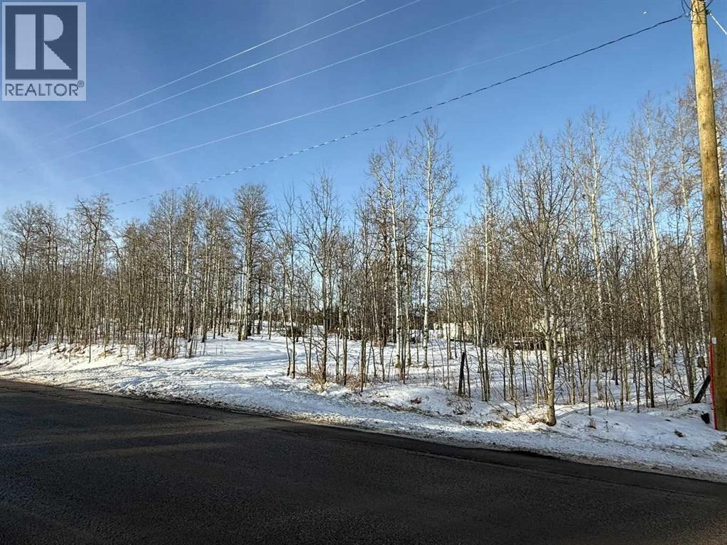 3, 5228 Highway 579, Rural Mountain View County, Alberta  T0M 2E0 - Photo 14 - A2282234