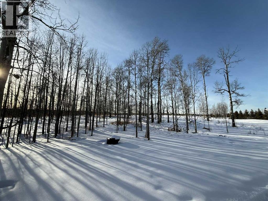 3, 5228 Highway 579, Rural Mountain View County, Alberta  T0M 2E0 - Photo 19 - A2282234