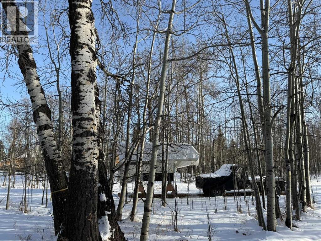 3, 5228 Highway 579, Rural Mountain View County, Alberta  T0M 2E0 - Photo 20 - A2282234